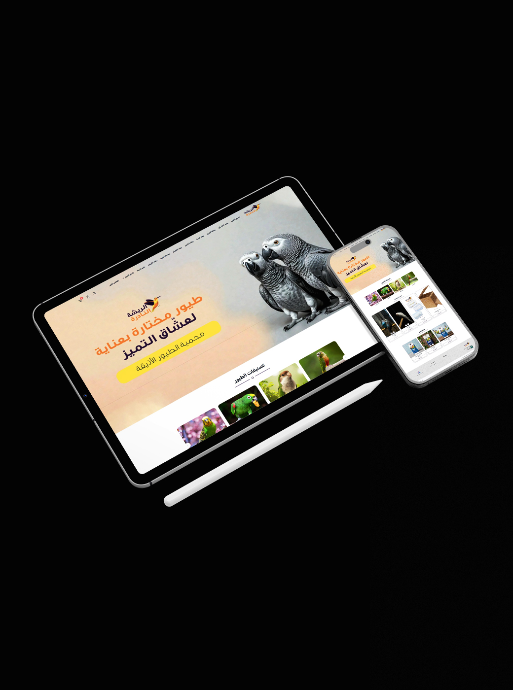 الريشة النادرة